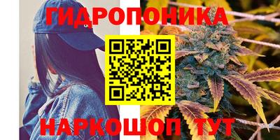 не бодяженный Сланцы