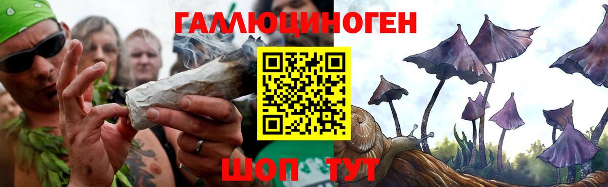 Псилоцибиновые грибы мухоморы  Псилоцибиновые грибы Psilocybe  Вход с VPN  Михайловск 